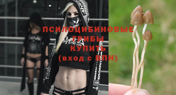 a pvp Карпинск