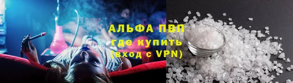 кокс Касимов