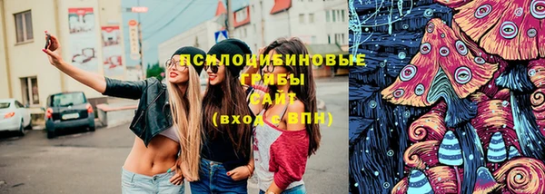a pvp Карпинск