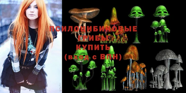 a pvp Карпинск