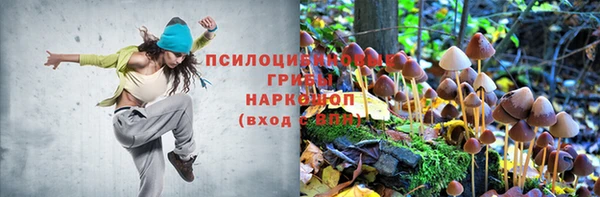 кокс Касимов