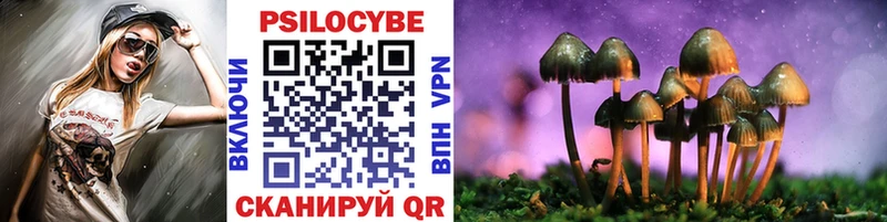 Псилоцибиновые грибы прущие грибы  Купить закладки  Чадан 